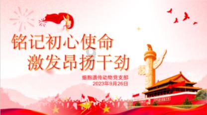 儿童画板涂色