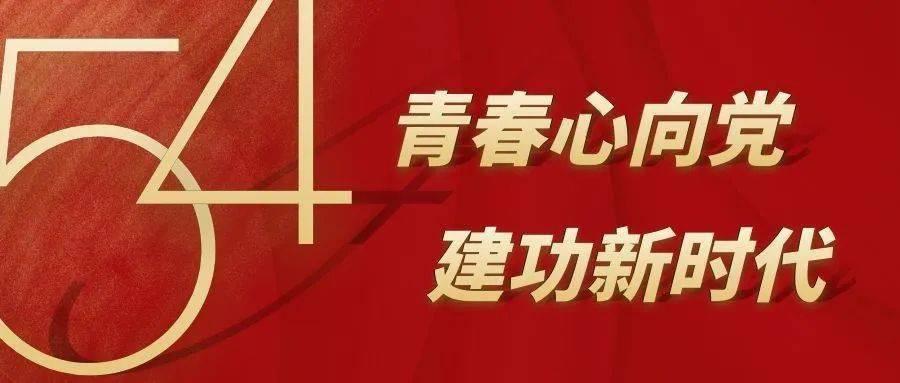 创作猫