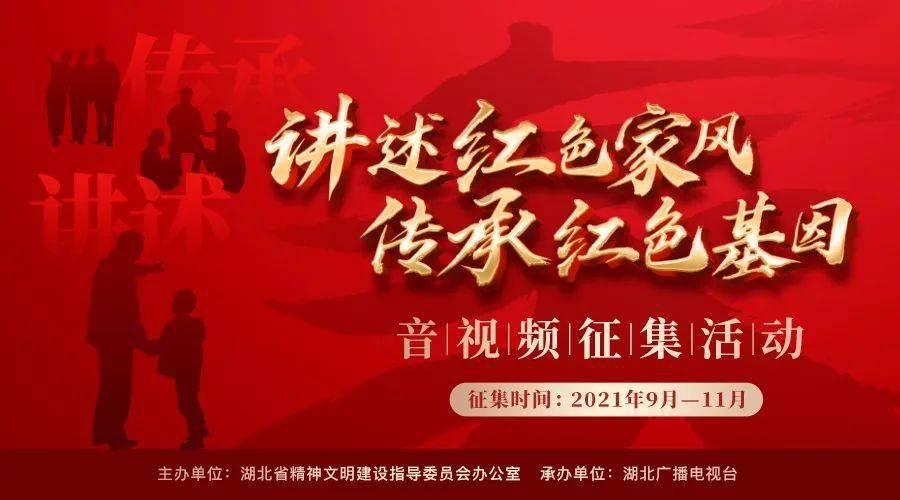 救援大嘴鸟
