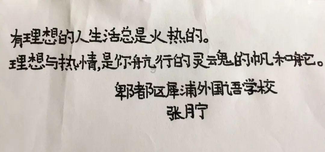 创作猫