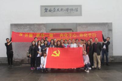 可爱小猫向上跳