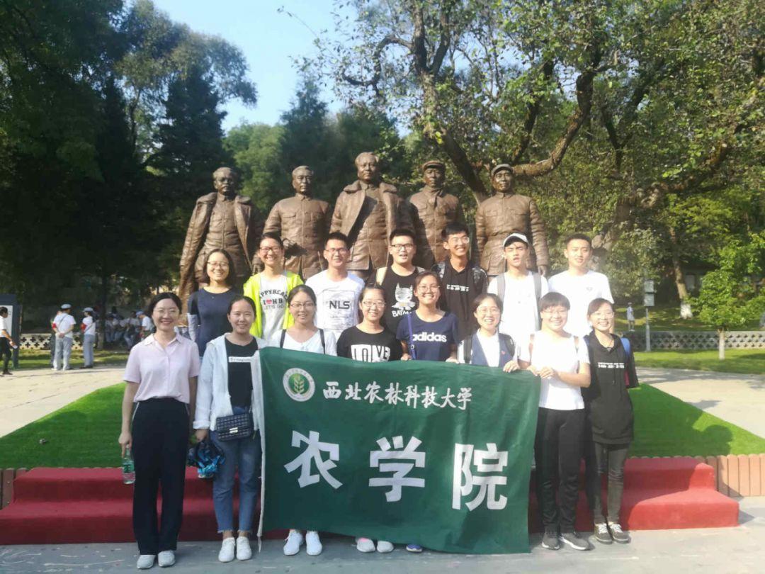 欢乐京津冀 一起过大年:扮靓津城 节日气氛布置多姿多彩