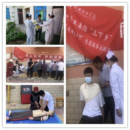 12个物种为全国首次检出!2023年济南邮局海关共查获进境外来物种21种次