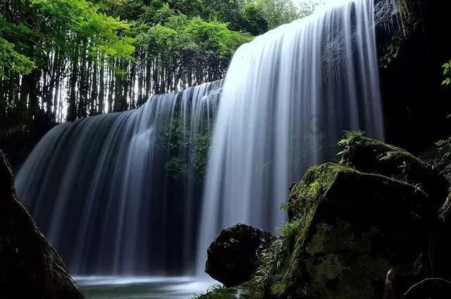 沪江开心词场