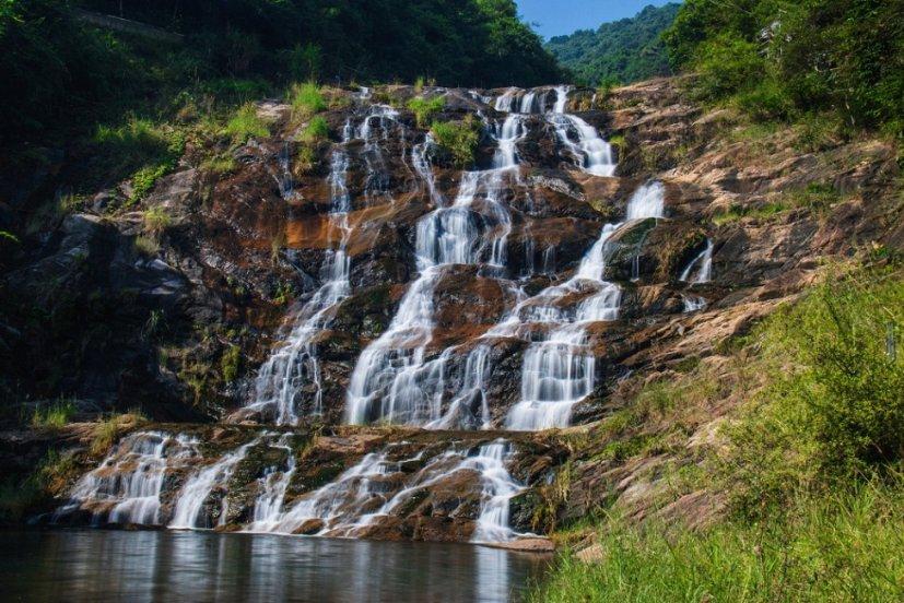 春雨直播app