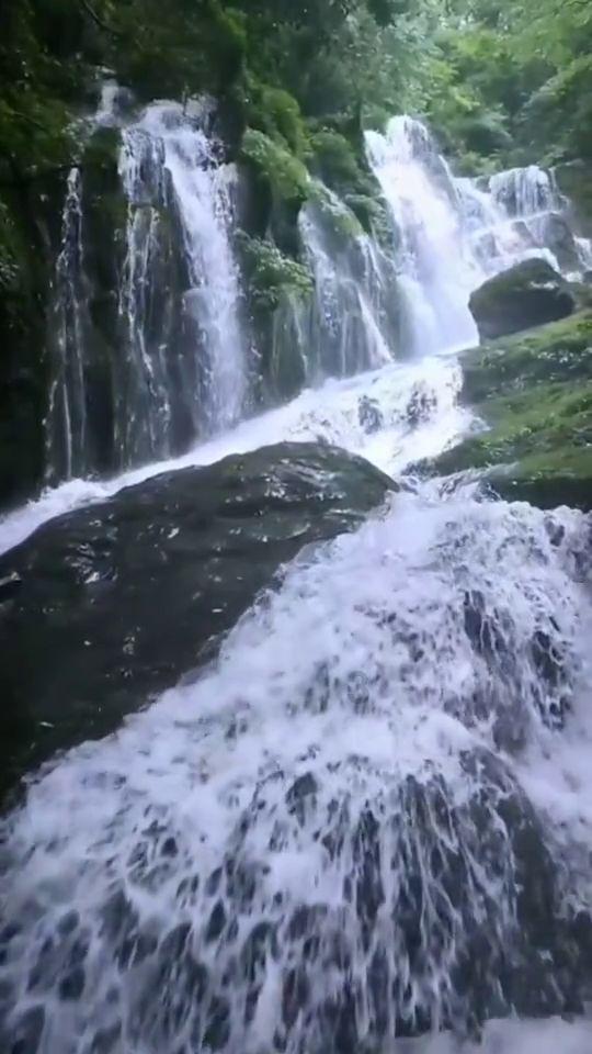 幻想纹章3