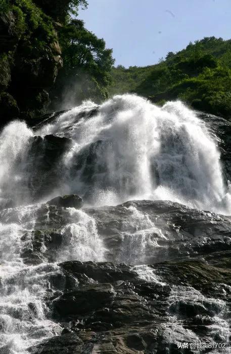 虫虫助手下载