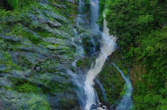 独居女生平时如何增加安全保障？游戏画面
