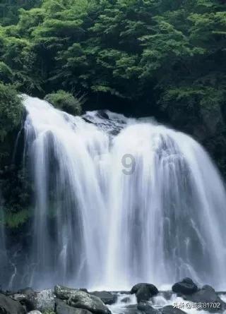 沪江开心词场