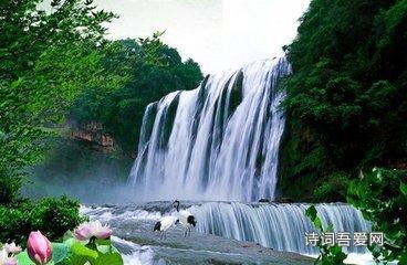 月光影视