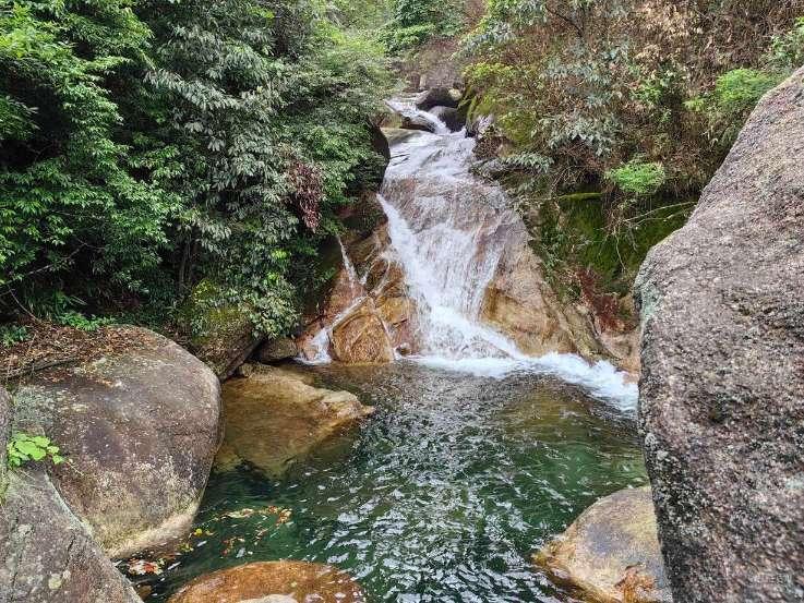 沪江开心词场