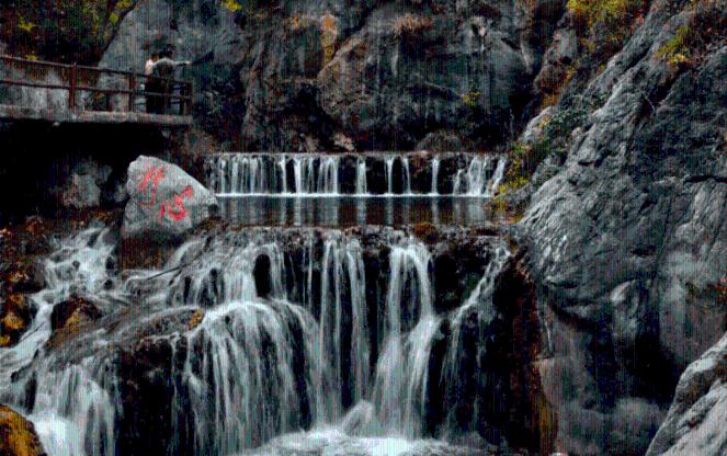 永福 农田托管 节本增效