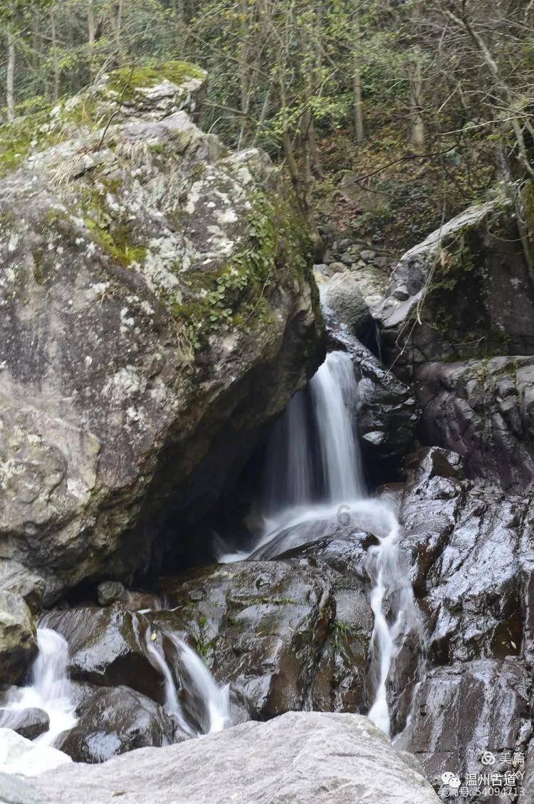 全国重点推荐名家——赵山净