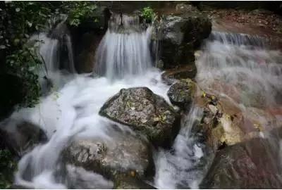 沪江开心词场