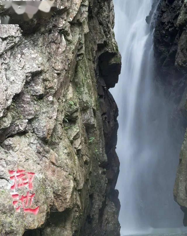创作猫