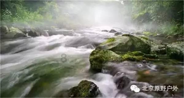 探索知识,发现乐趣——人生来就是孤独的,你是怎么忍受孤独的?问答交流平台