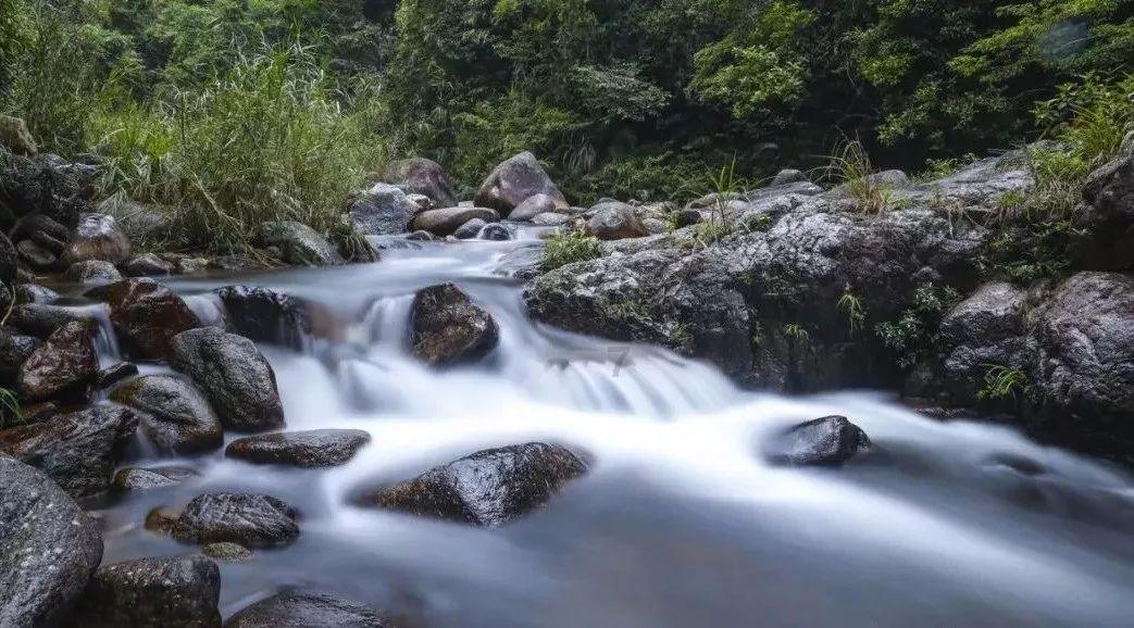 塞尔达：荒野之息