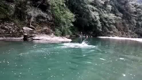 口袋侏罗纪