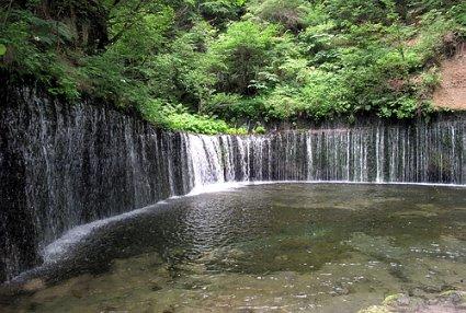 燃烧吧大脑免广告最新版