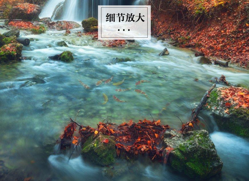 地瓜用微波炉烤完为什么硬？游戏画面