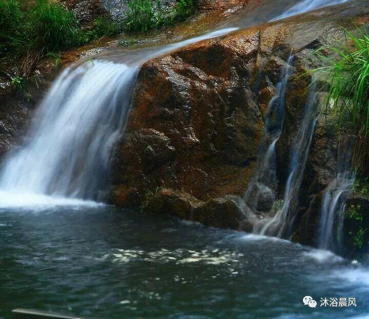 春雨直播app