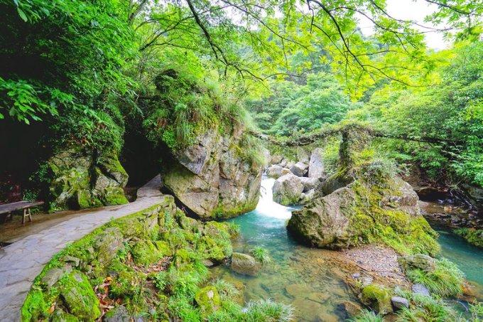 正确行走预防冬日路滑跌倒