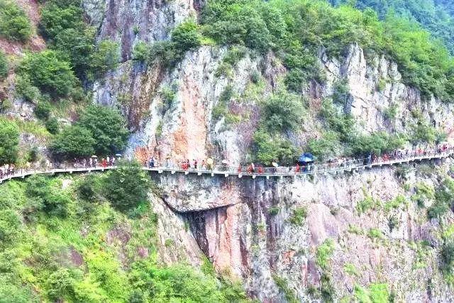 石油骚动