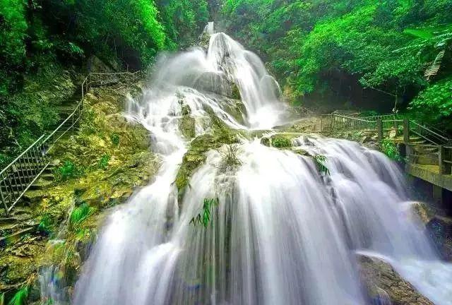 泡沫森林