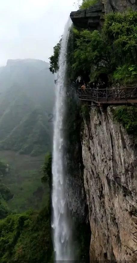 在校生逃脱