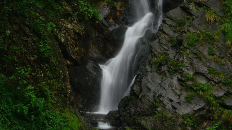 逃离阴森的岛屿