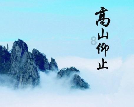 意想不到的旅程