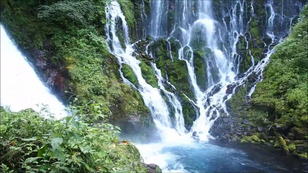 深海鱼救援