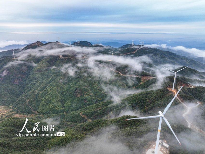 今天一陌生人问我借公交卡游戏画面