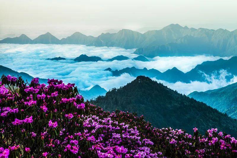 战舰世界闪击战
