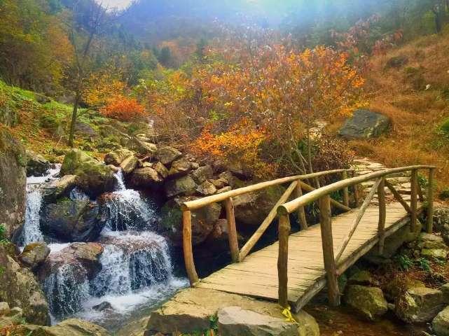 漂亮公主填色
