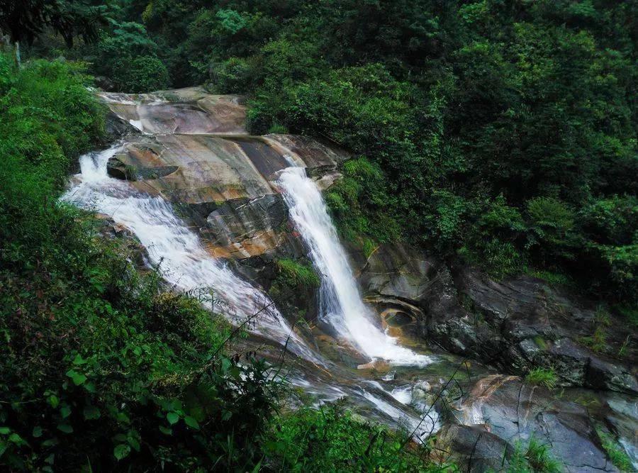沪江开心词场