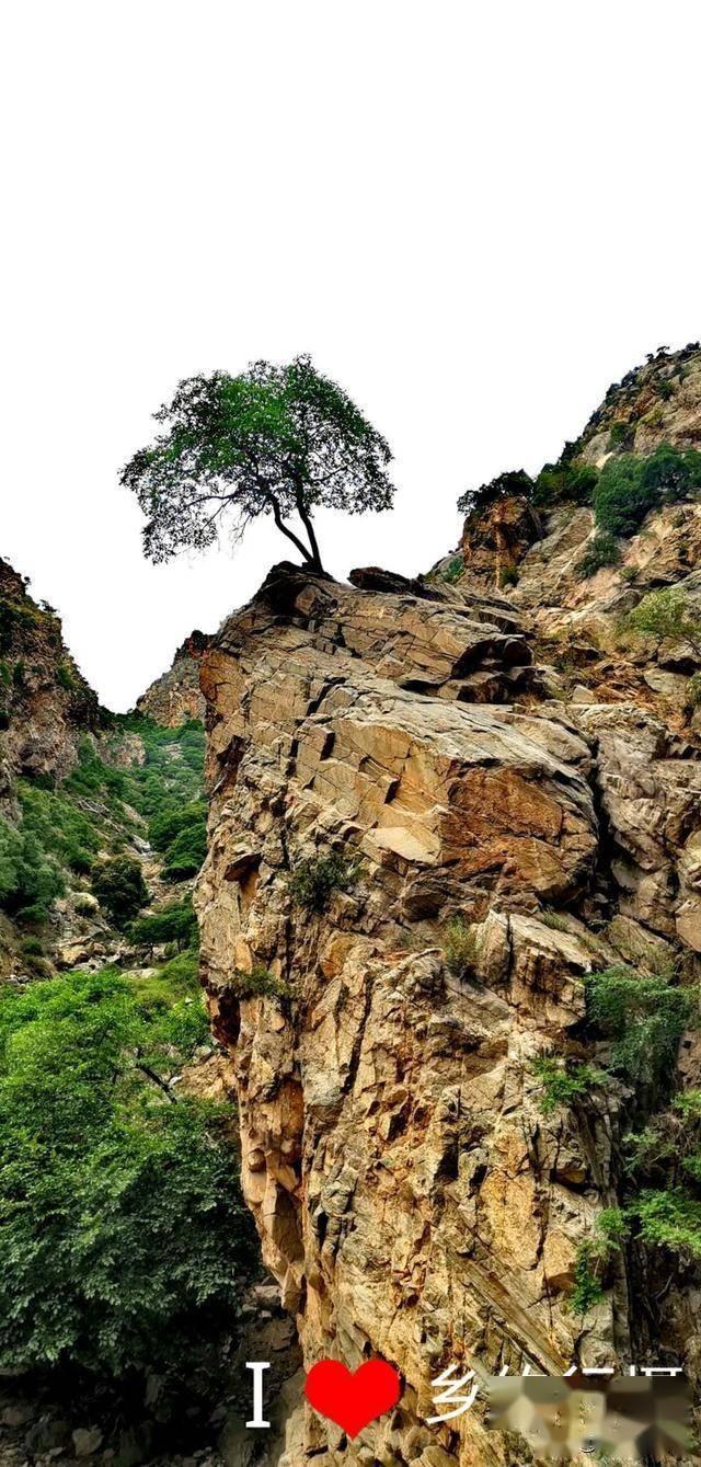 山西省人大代表毛凯:加快大科学装置规划建设 强化山西战略科技力量