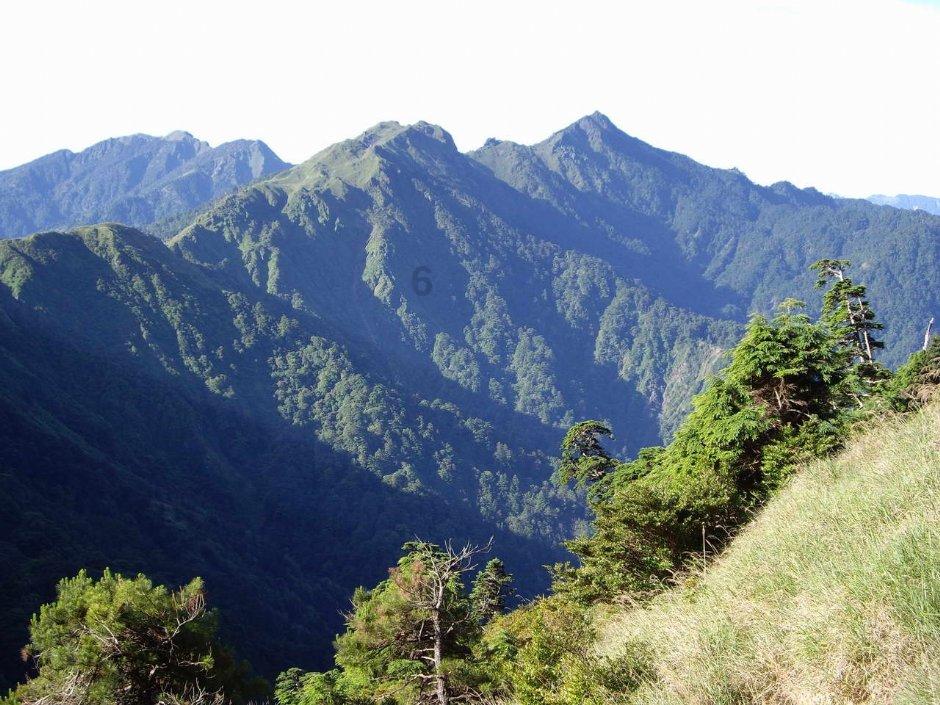 虫虫助手下载