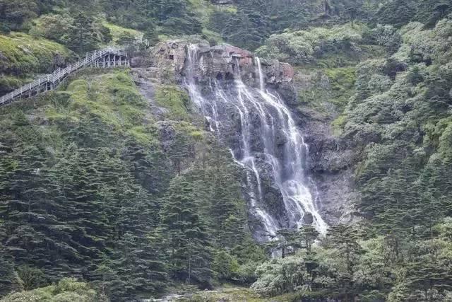大脚车狂飙赛