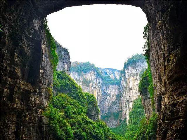 脑洞小老弟无实名认证