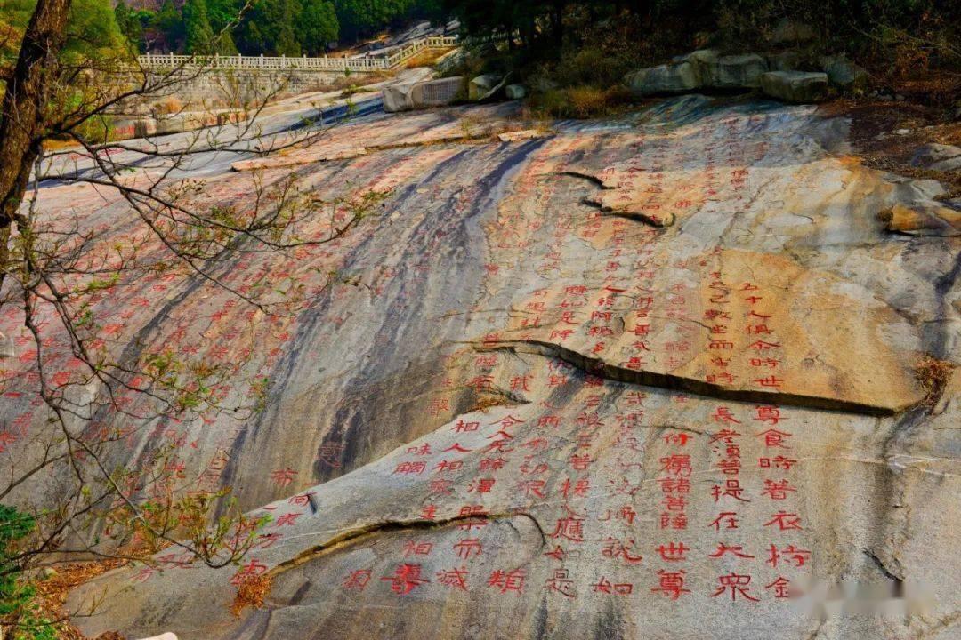 小猫钓鱼游戏龙王版有船