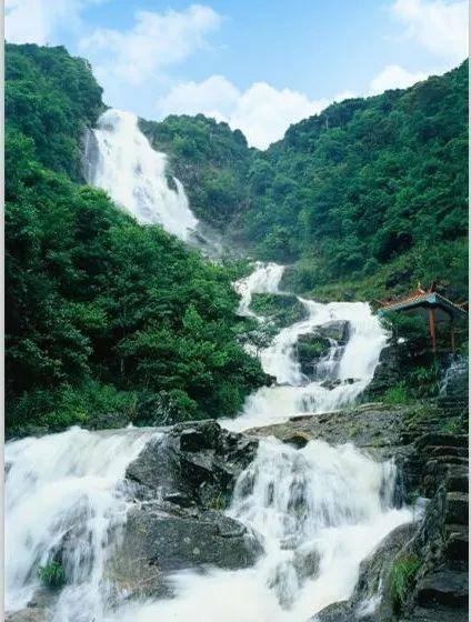 春雨直播app