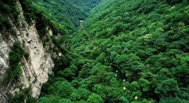 口袋觉醒SS魔改版免费后台下载游戏画面