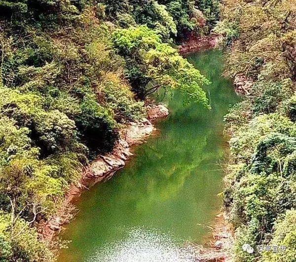 沪江开心词场