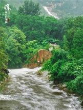 牛油果面包