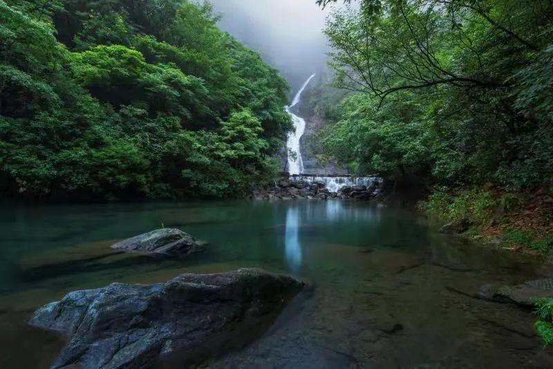 拯救毛茸茸男人