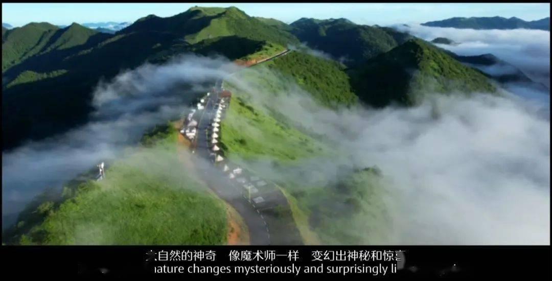 打呀么打飞机