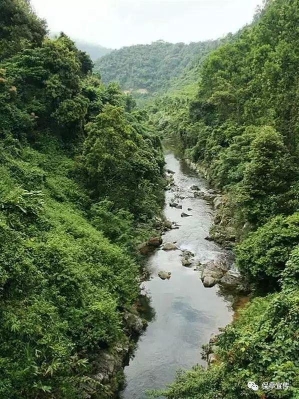 动物帮帮忙保卫家园