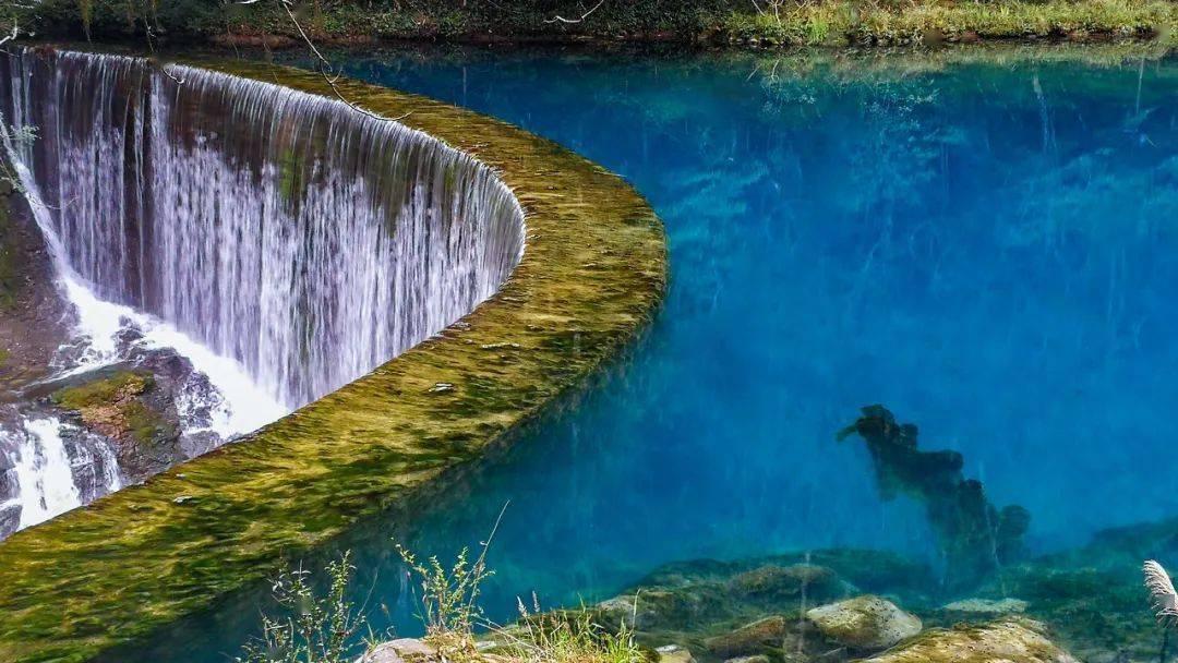 缤纷水果茶