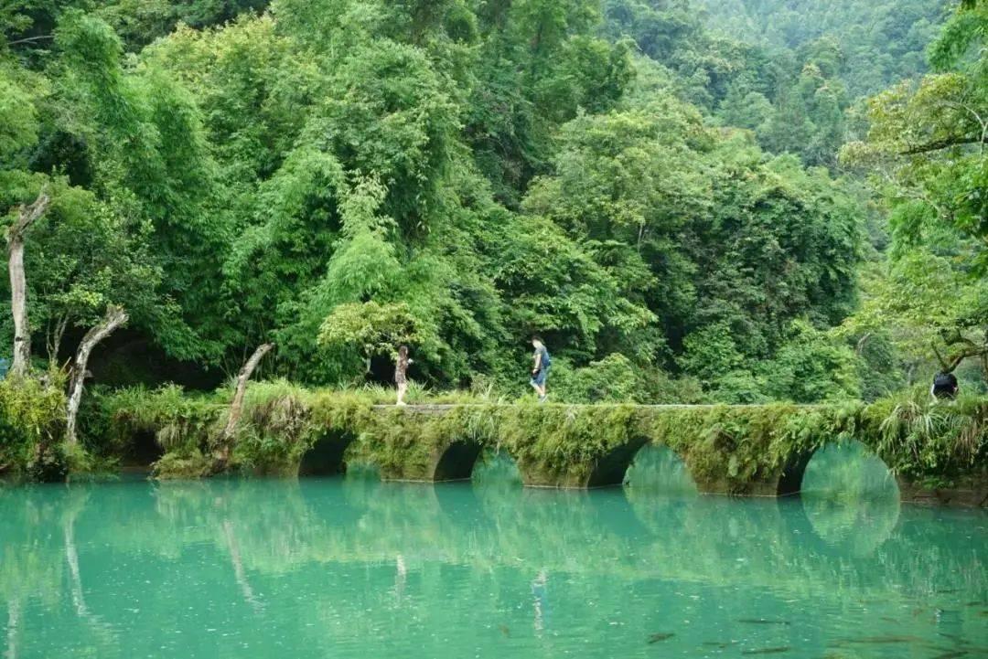 春节前旅游市场升温 各地活动丰富多彩